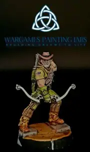 painted Hardcases Infinity Ariadna collection miniature for Wargames