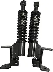 Dr.Acces EZGO RXV Front Shock Strut Assembly EZGO RXV Golf Carts (2008+) Replaces # 601246, 603024,Sold as Pair