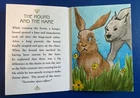 2020 Goodwin Champions AESOP’S FABLES SKETCH BOOKLET 1/1 MADISON EMERICK AFS-3