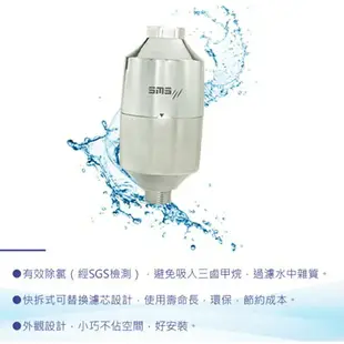 【日月光淨水】濾氯去2入特惠組 S-010 SMS沐浴器 台灣製造 除氯沐浴器【贈OTO餘氯測試液】