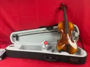 Gewa L'Apprenti VL1 Violin Outfit 4/4 Pirastro Tonica Violin Strings, Rosin Case