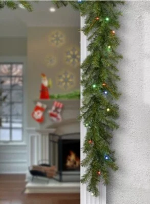 9' Prelit LED Norwood Fir Garland Multicolor Lights - National Tree Company