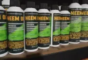 Neem oil ( Pure Cold Press for Garden Purpose)