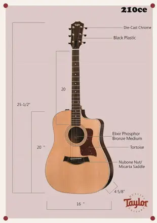 【非凡樂器】Taylor 【210CE】美國知名品牌電木吉他 / 公司貨