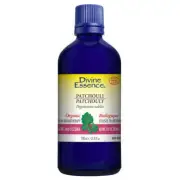 Organic Essential Oil Patchouli 100 Ml By Divine Essence