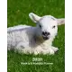 2020 Weekly and Monthly Planner: White Sheep - Lamb Monthly Calendar with U.S./UK/ Canadian/Christian/Jewish/Muslim Holidays- Calendar in Review/Notes