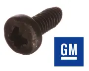 GENUINE x10 PACK!! HOLDEN COMMODORE REMOTE KEY SCREWS - VR VS VT VX VY VZ HSV