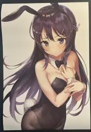 Mai Sakurajima Rascal Does Not Dream Anime Glossy Poster 16x11 Waifu Doujin v3