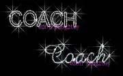 COACH RHINESTONE IRON ON TRANSFER HOT FIX BLING SPORTS