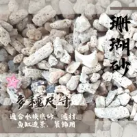 在飛比找蝦皮購物優惠-天然 珊瑚砂  (1公斤裝) 珊瑚骨 底砂 貝殼砂 菲律賓砂