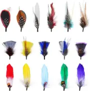 16 Pcs Hat Feathers for Fedora, Fengek Assorted Colorful Feathers Party Accessor