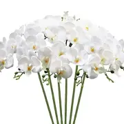 Artificial Orchid Stems 6 Pack 20” Real Touch Orchid Flowers Faux 20" White