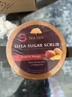 tropical mango tree hut scrub NEW