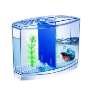 Mini Fish Tank with Divider, Small Beta Fish Tank Shrimp Tank Small Aquarium,...