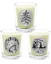 Qualitas Candles 3pc Candle Set - Forest Moss, Fresh Mown Hay, & Patchouli