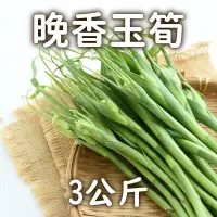 在飛比找台灣好農優惠-木木三蔬樂園 晚香玉筍3公斤