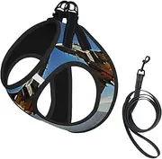 Aircraft Fighter Jets print Dog Harness and Leash Set, Reflective Adjustable Puppy Vest for Small Medium Large Dogs, Cats