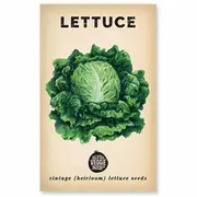 The Little Veggie Patch Co Lettuce Heirloom Seeds