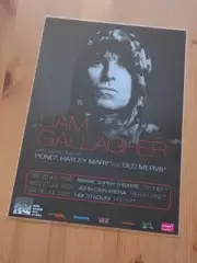 LIAM GALLAGHER 2022 Tour Poster - Oasis - Laminated Australian Tour Poster - NEW