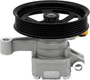 Power Steering Pump 21-2403 Compatible For Buick Enclave Compatible For Chevrolet GMC Acadia Saturn Outlook 25939259