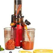 Mini Cold Press Juicer, Small Slow Masticating Juicer for Vegetables and Fruits, High Juice Yield, Easy to Clean, Space-Saving, Fit for Personal/Travel/Picnic/Office