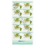 $1.50 Postage Stamps 10 Pack