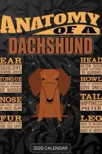 在飛比找博客來優惠-Anatomy Of A Dachshund: Dachsh