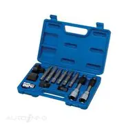 Toledo Alternator Bit Set - 302005