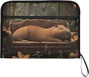 YMXFXP Expandable Filing Folder Capybara Sofa, 13-Pocket Funny Cute Design with Sticky Labels, A4 Letter Size Document Organizer for Office, School, Boys, Girls