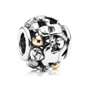 Pandora Family Forever Charm 791040