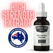 Wild Lettuce tincture high strength extract Lactuca virosa