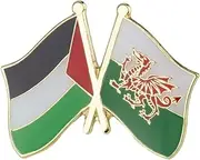[Pinstant] Palestine Palestinian Wales Welsh United Kingdom National Flag Crossed Flags Friendship Love Alliance Allies 1" Enamel Pin, 1 Inch, Enamel, enamel