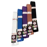 在飛比找蝦皮購物優惠-RONIN浪人品牌 巴西柔術腰帶 BJJ GI BELT