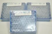 3 Boxes of National Scientific Target Snap-Its Clear Glass I-D Vials 12x32mm 2mL