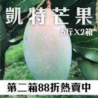 在飛比找台灣好農優惠-第二箱88折!! 葉老爹果園 凱特芒果5斤*2箱_夏日水果派