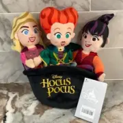 Disney Store Hocus Pocus Sanderson Sisters 7" Plush Set in Cauldron 2022 NEW