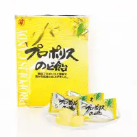 在飛比找蝦皮購物優惠-【現貨】日本杉養蜂園🐝蜂膠潤喉糖 (85g)