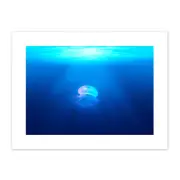 Lone Jellyfish Blue Water Canvas Wall Art Print