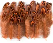 50 Pcs Orange Pheasant Feathers 2-3 Inches Plumage for Crafts Clothing Sewing De