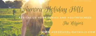 Aurora Holiday Hills