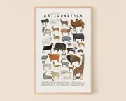 Creatures Of The Order Artiodactyla