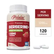 Premium Berberine HCl with Ceylon Cinnamon 1200mg-Healthy Cholesterol, Immune