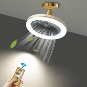 Ceiling Fan with Light Remote Control 30W 10 Inch Pendant Lighe Enclosed Ceiling Fan Dimmable 3 Light Color, 3 Speed LED Low Profile Flush Mount Ceiling Fan fo