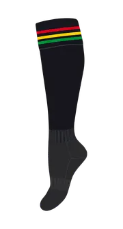 Penrith Panthers NRL Performance Socks