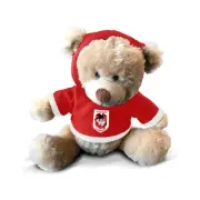 NRL St George Illwarra Dragons Hooded Plush Teddy Bear Toy - Kids