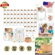 Set of 48 Clear 50ml Glass Bottles with Cork - Perfect for DIY Crafts & Parties
