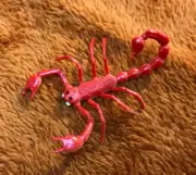 d&d mini miniature plastic toy giant SCORPION insect monster bug fantasy mount!!