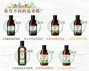 Alkmene~草本耀典~洗髮精露~250ml~可面交~全新~ (( 大蕁麻/薰衣草/金盞花/洋甘菊 ))