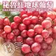 【天天果園】秘魯紅地球葡萄3盒(每盒約500g)