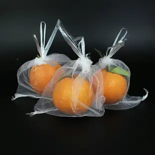 水果葡萄套袋防蟲防鳥白色紗網袋子透氣防果蠅套樹苗枇杷果樹網袋 樂樂百貨
